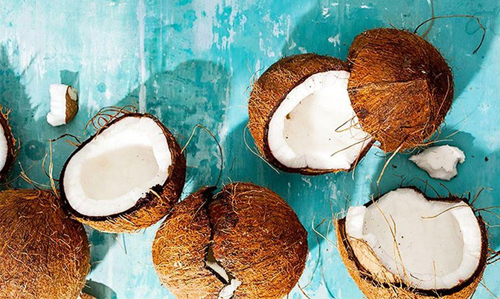 белковые продукты при похудении кокос