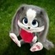 DianaLit@fexpost.com avatar