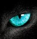 jarettsalyerf38@gmail.com avatar